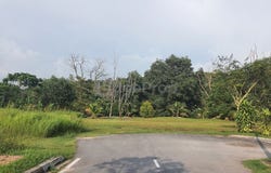 Jalan Rimba Riang, Kota Damansara, Selangor 47810