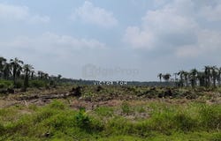 Jalan SILC, Gelang Patah, Johor 81550