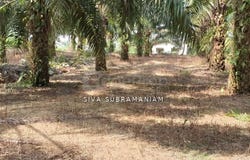 Ulu Tiram, Johor 81800