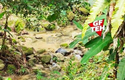 Taiping, Perak 0