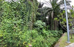 Jalan Bukit Tunku, Kenny Hills (Bukit Tunku), Kuala Lumpur 50480
