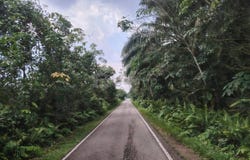 Pekan Nanas (Pekan Nenas), Johor 81500