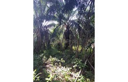 Banting, Selangor 42700