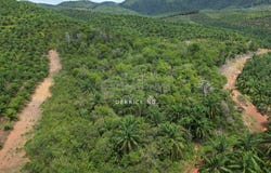 Sungai Petani, Kedah 8010