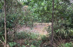 Jalan Melor, Jalan Inai, Rawang, Selangor 48000