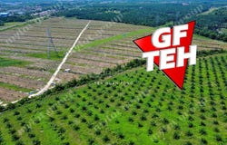 61, TAMAN BEDONG, TAMAN BEDONG, Kuala Muda, Kedah 0