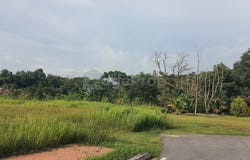Jalan Rimba Riang, Kota Damansara, Selangor 47810
