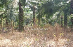 Ulu Tiram, Johor 81800