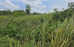Jalan Bukit Berdamar, Cyberjaya, Selangor 63000