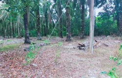 Kampar, Perak