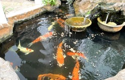 Jalan Kelab Tropicana, Tropicana, Selangor 47410