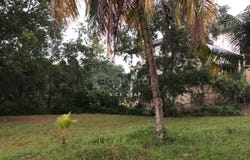 Jalan Seri Beringin, Damansara Heights, Kuala Lumpur 50490