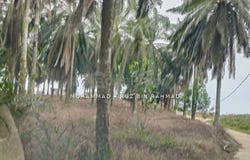 Lorong Setia 3 , Kuala Selangor, Selangor 45600