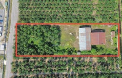 Kuala Selangor, Selangor 45600