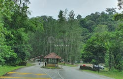 Jalan Tanarimba Tinggi, Bentong, Pahang 28750