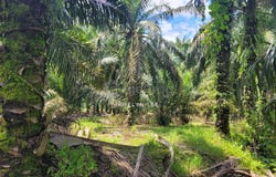 Kampong Gajah, Perak 36800