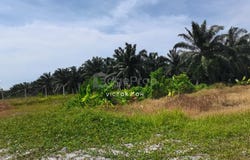 Sungai Petani, Kedah 08010
