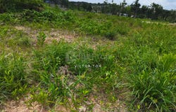 Jalan Morib , Banting, Selangor 42700