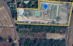 วัดบ้านบาก, สร้างนกทา, อำนาจเจริญ, 37000 ประเทศไทย, อำนาจเจริญ, 
