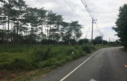 ทางหลวงชนบท ลพ. 3019, นครเจดีย์, ป่าซาง, ลำพูน, 51120 ประเทศไทย, ป่าซาง, 