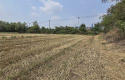 309, ลุมพลี, พระนครศรีอยุธยา, 13000 ประเทศไทย, พระนครศรีอยุธยา, 