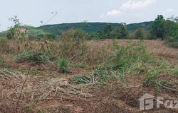 น้ำหนาว, เพชรบูรณ์, 67260 ประเทศไทย, น้ำหนาว, 