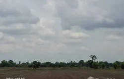 บ้านโนนเปล็ง, หนองขาหย่าง, อุทัยธานี, 61130 ประเทศไทย, หนองขาหย่าง, 