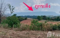 น้ำหนาว, เพชรบูรณ์, 67260 ประเทศไทย, น้ำหนาว, 
