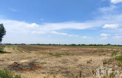 เวนิส, หมู่ที่ 6, หันตรา, พระนครศรีอยุธยา, 13000 ประเทศไทย, พระนครศรีอยุธยา, 