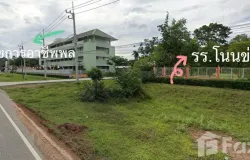 2246, บ้านหนองมะเขือ, อำเภอพล, จังหวัดขอนแก่น, 40120, ประเทศไทย, พล, 