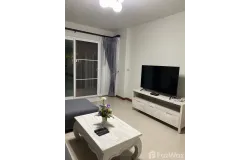 50290, Chiang Mai, THA, N/A, Chiang Mai