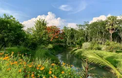 เพชรเนาวรัตน์, ลิ่นถิ่น, ทองผาภูมิ, กาญจนบุรี, 71180 ประเทศไทย, ทองผาภูมิ, 