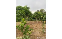 109/10 ถนน พยูน ซอย 4, หมู่ที่ 5, บ้านฉาง, ระยอง, 21130 ประเทศไทย, บ้านฉาง, 