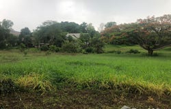 Wood Park Home Resort, Musi, Pak Chong, Nakhon Ratchasima, 30130 Thailand, Pak Chong, 