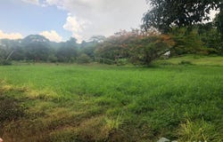 Wood Park Home Resort, Musi, Pak Chong, Nakhon Ratchasima, 30130 Thailand, Pak Chong, 