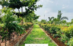 Mathigiri, Hosur, Karnataka