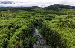 DL1833 Cracroft Island, West Cracroft Island, BC V0N 3J0