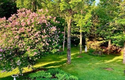 290 Rue de St-Moritz, Sainte-Adèle, QC J8B 2Z6
