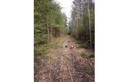 Old North Range Road Lots, Gilberts Cove, NS B0W 3T0