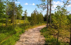 429571 8th Concession B Concession, Grey Highlands, ON N0C 1M0