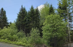 Chesley Road Lot 23-3, Barss Corner, NS B0R 1E0