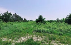 121 Robertson Avenue, Meaford, ON N4L 1W7