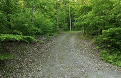Ch. Dépôt, Orford, QC J1X 6W1