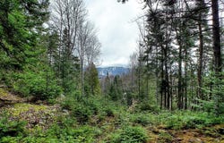 Ch. Killarney, Mont-Tremblant, QC J8E 1K1