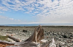 1494 Wilkinson Rd, Comox, BC V9M 4B3