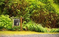 1364 Chesterman Beach Rd, Tofino, BC V0R 2Z0