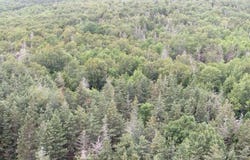 Lot Shore Road E, Hampton, NS B0S 1L0