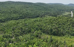 Route 364, Morin-Heights, QC J0R 1H0
