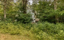 3241 Rg St-André, Saint-Cuthbert, QC J0K 2C0