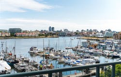 21 Dallas Rd 501, Victoria, BC V8V 4Z9